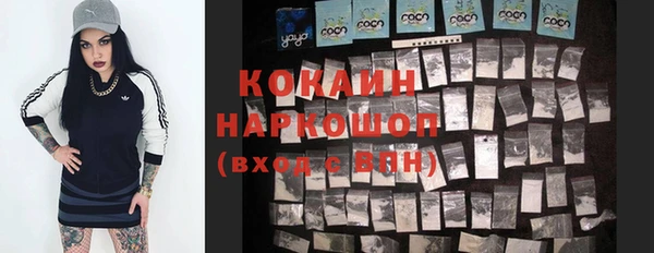 спайс Баксан