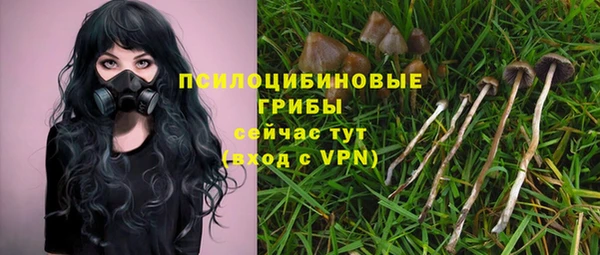 спайс Баксан