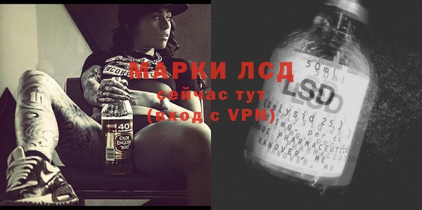 спайс Баксан