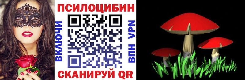 Галлюциногенные грибы Psilocybine cubensis  что такое наркотик  Ветлуга 